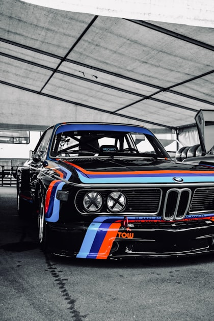 The British Motor Corporation